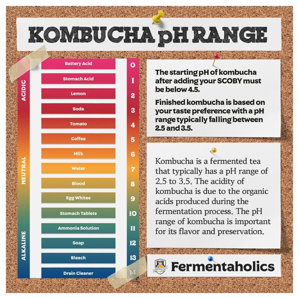 Kombucha pH Test Strips - pH Range 0-6 | 100 Test Sticks | Instant Read | Food Service, Brewing and Fermentation Test Strips